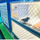 【順心】紙紮冠軍鴿舍